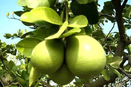 九游手机版下载案例展示一