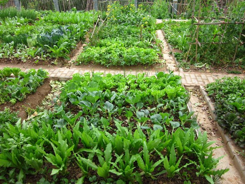 九游手机版下载案例展示五