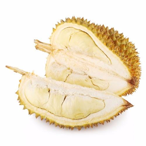 九游手机版下载产品名称二